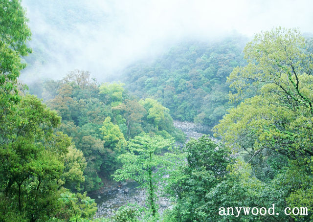 批木网 anywood.com