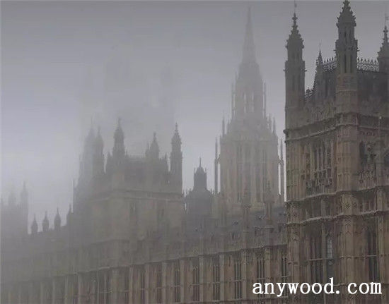 批木网 anywood.com