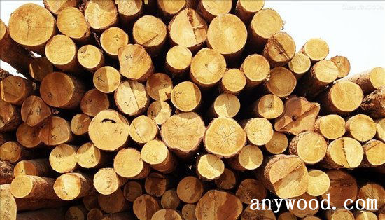 批木网 anywood.com