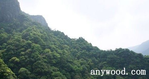 批木网 anywood.com