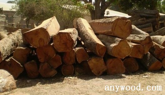 批木网 anywood.com