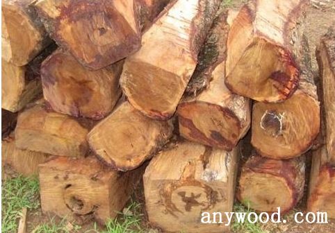 批木网 anywood.com