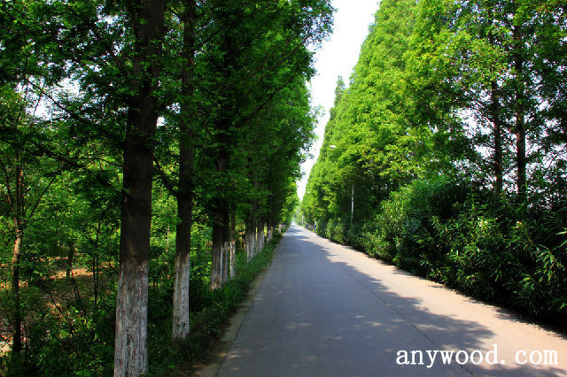 批木网 anywood.com