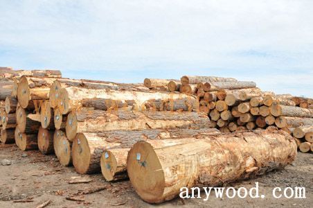 批木网 anywood.com