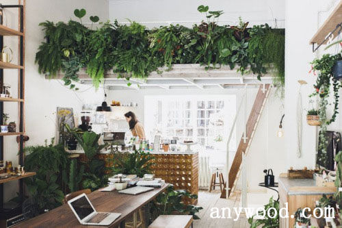 批木网 anywood.com