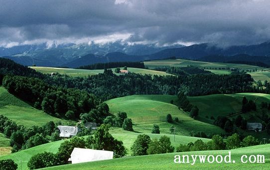 批木网 anywood.com
