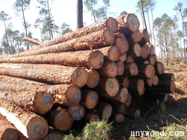 批木网 anywood.com