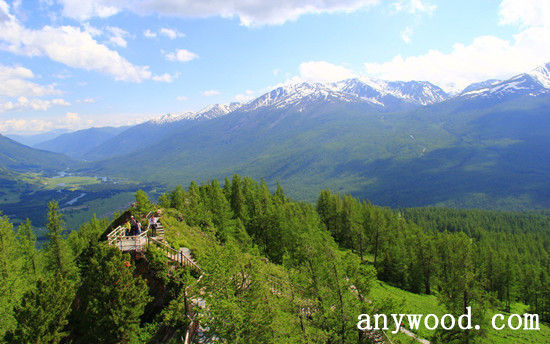 批木网 anywood.com