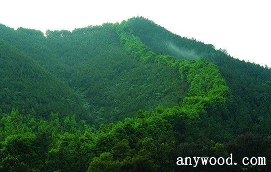 批木网 anywood.com