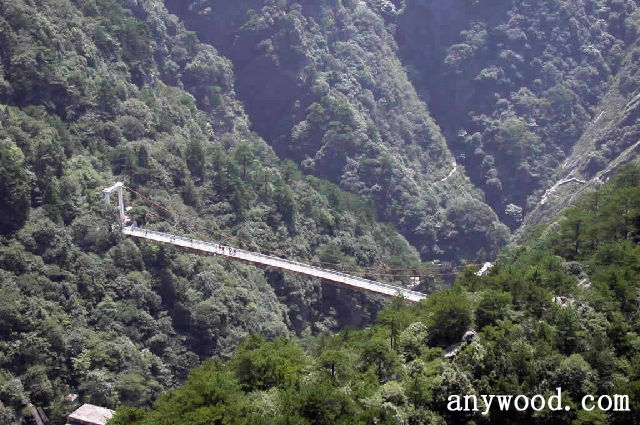 批木网 anywood.com