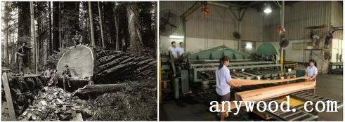 批木网 anywood.com