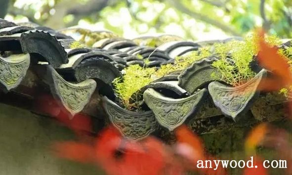 批木网 anywood.com
