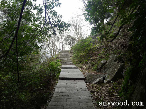 批木网 anywood.com