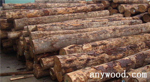 批木网 anywood.com