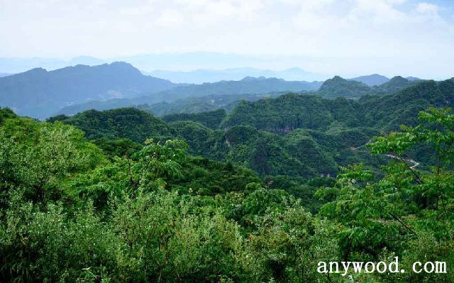 批木网 anywood.com
