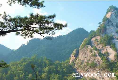 批木网 anywood.com