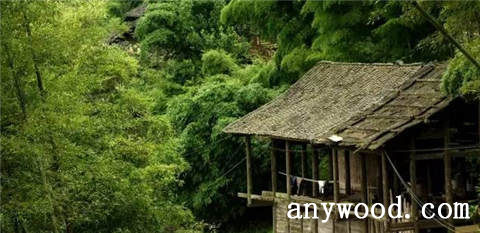 批木网 anywood.com
