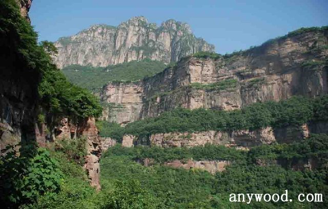 批木网 anywood.com