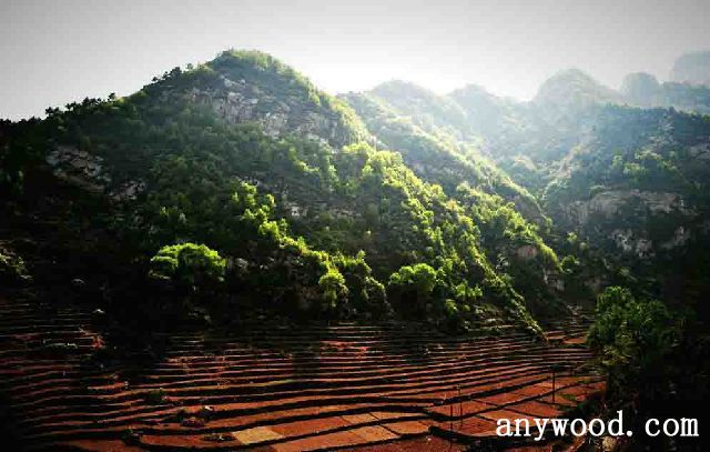批木网 anywood.com