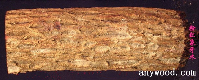 批木网 anywood.com