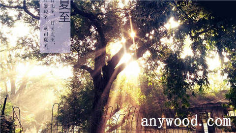 批木网 anywood.com