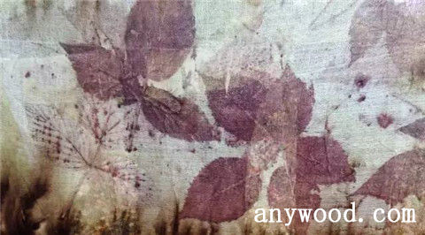 批木网 anywood.com