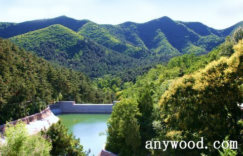 批木网 anywood.com