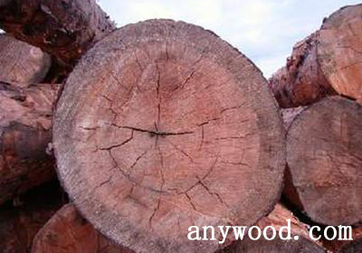 批木网 anywood.com