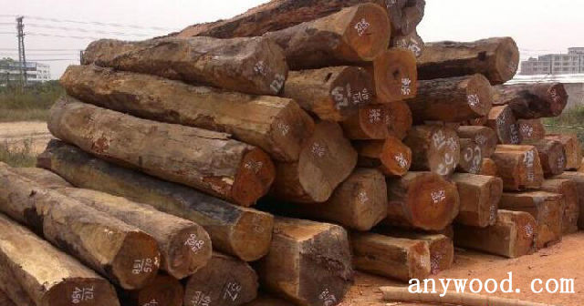 批木网 anywood.com
