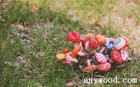 批木网 anywood.com