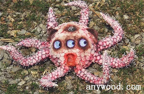 批木网 anywood.com