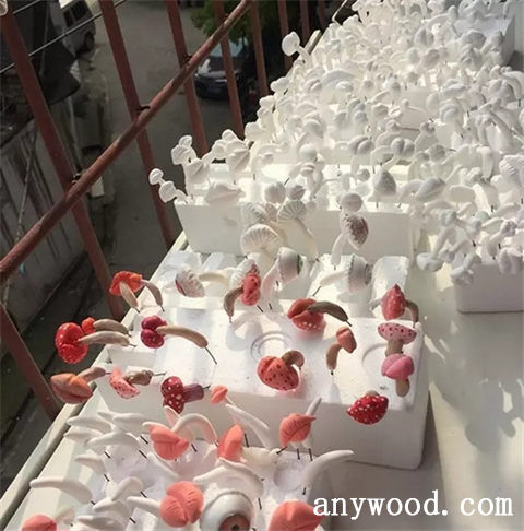 批木网 anywood.com