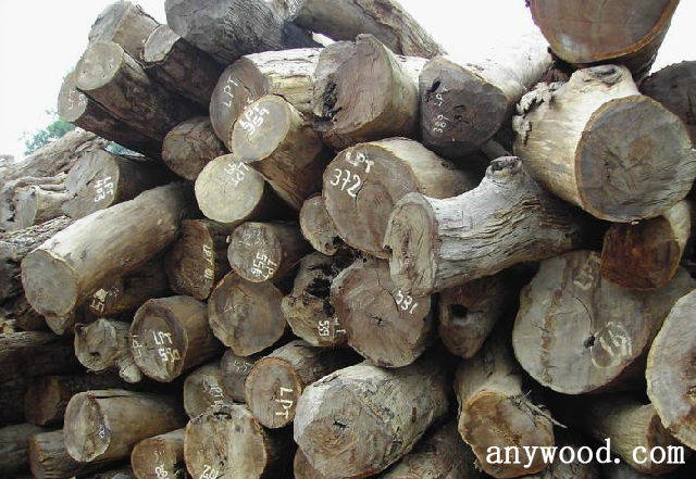 批木网 anywood.com