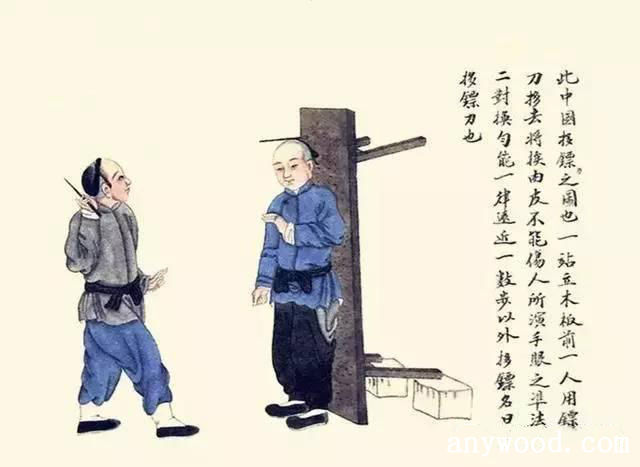 批木网 anywood.com