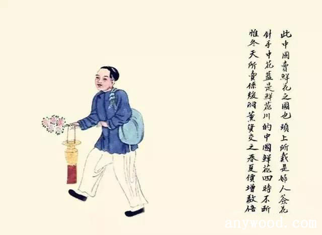 批木网 anywood.com