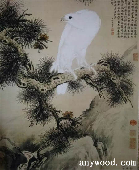 批木网 anywood.com