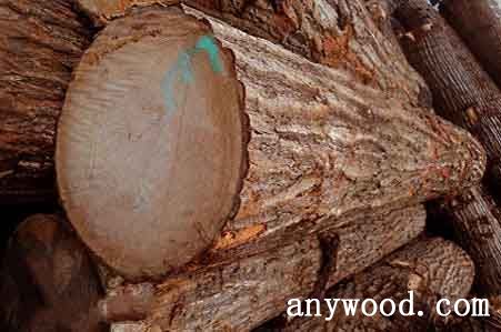 批木网 anywood.com