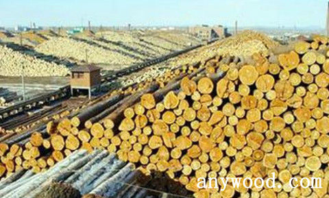 批木网 anywood.com