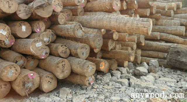 批木网 anywood.com