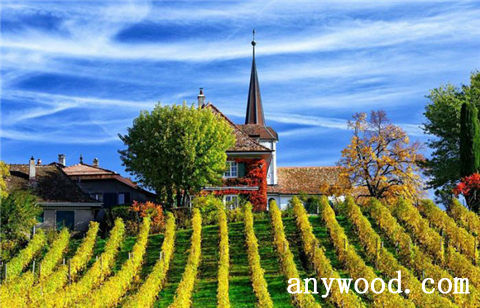 批木网 anywood.com