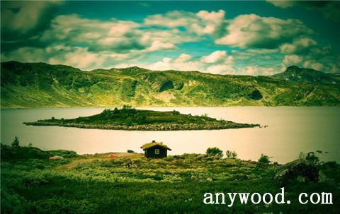 批木网 anywood.com