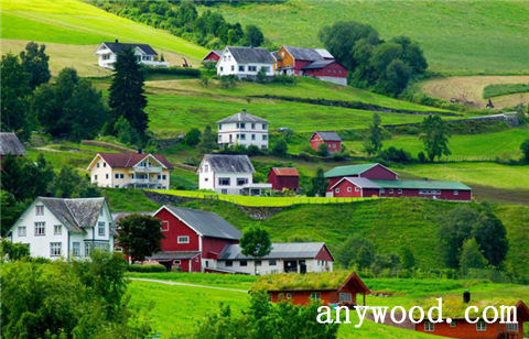 批木网 anywood.com