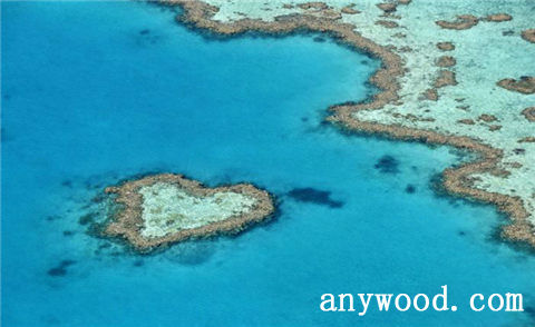 批木网 anywood.com