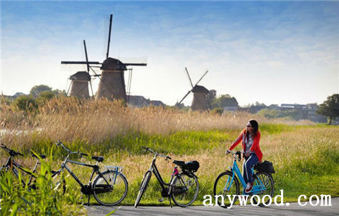 批木网 anywood.com