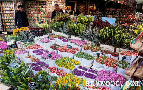 批木网 anywood.com