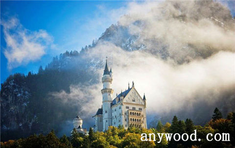 批木网 anywood.com
