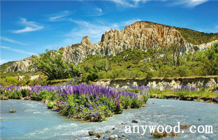 批木网 anywood.com