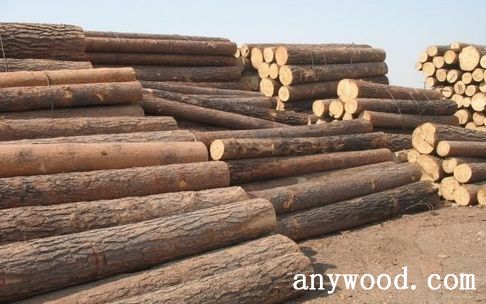 批木网 anywood.com