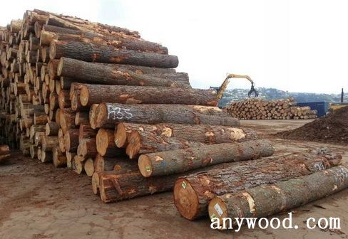 批木网 anywood.com