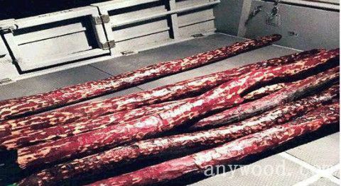 批木网 anywood.com